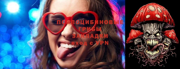 марки lsd Абаза