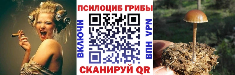 Галлюциногенные грибы MAGIC MUSHROOMS  Хилок 
