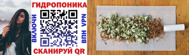 Канабис план  гидра маркетплейс  Хилок 